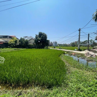 Bán Đất View Lúa Tại Thanh Tây, Cẩm Châu, Hội An, Quảng Nam, 110M2, Hàng Hiếm Chỉ Với