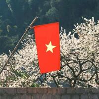  CHO THUÊ NGUYÊN CĂN SHOPHOUSE 5 TẦNG MẶT ĐƯỜNG BẠCH ĐẰNG - THƯỢNG LÝ, HỒNG BÀNG