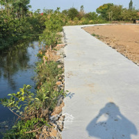 Đất Phân Lô Tại Quốc Lộ 50, Thành Phố Gò Công. Diện Tích, Giá Đa Dạng, Có Thổ Cư Và Đã Có Sổ Rồi