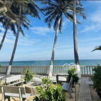 Đất Mặt Biển Nguyễn Đình Chiểu, 600M2 Full Thổ Cư , Ngay Trung Tâm Mũi Né , Liên Hệ: 0787888897