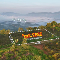 Đất Đẹp View Săn Mây Đồi Bát Úp, Núi Đại Bình, Có Sẵn Thổ Cư, Giá Chỉ 1.4 Triệu/M2