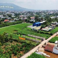 Đất Đẹp Bảo Lộc 529M2 (10.5M X 50M), Có Sẵn 100M2 Thổ Cư, Phù Hợp Làm Nhà Vườn, Biệt Thự Nghỉ Dưỡng
