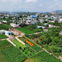 Đất Đẹp Bảo Lộc 529M2 (10.5M X 50M), Có Sẵn 100M2 Thổ Cư, Phù Hợp Làm Nhà Vườn, Biệt Thự Nghỉ Dưỡng