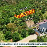 Đất Đẹp Có Sẵn Vườn Măng Cụt Lâu Năm Đang Cho Thu Hoạch, Phù Hợp Làm Nhà Vườn Nghỉ Dưỡng