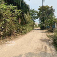 400M2 Đất Ngang 10, Đường Nhà Vuông Kế Bên Vin 197Ha,