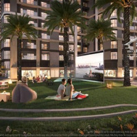 Beverly 1Pn+ 53.8M2 Giá Tốt Nhất, Tặng Tân Gia 300 Triệu, Ô Tô Vf3, 65 Triệuđ Vouchers Vinwonder