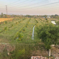 Chính Chủ Bán Gấp Đất Trang Trại Nghỉ Dưỡngdiện Tích12,209M2 Ma Lâm, Bình Thuận Giá Tốt Cho Nhà Đầu Tư