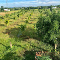 Chính Chủ Bán Gấp Đất Trang Trại Nghỉ Dưỡngdiện Tích12,209M2 Ma Lâm, Bình Thuận Giá Tốt Cho Nhà Đầu Tư