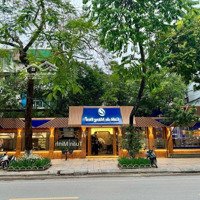 Mặt Tiền 12M Tập Trung Nhãn Hàng Lớn Lotte, Paris Gâteaux Nguyễn Khánh Toàn. Diện Tích 100M 2 Tầng.