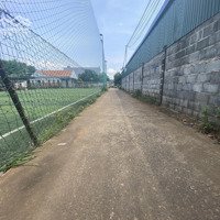 Bán Lô Đất Đẹp Đường Mai Thị Lựu