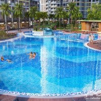 2 Phòng Ngủglory Heights View Hồ Bơi Malibu, Giá Tốt Nhất Vinhomes Quận 9, Chiết Khấu Lên Đến 23.5%