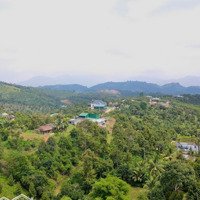 Đất Thổ Cư, Nhiều Mặt Đường, Độ Sâu Vừa Phải, Ngay Khu Dân Cư