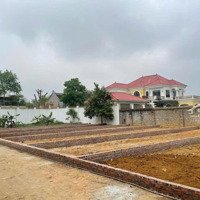Đất Thổ Cư Tại Thạch Thất Quốc Oai, 37 Triệu /Mvnd, 116M2 Siêu Hot
