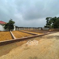 Đất Thổ Cư Tại Thạch Thất Quốc Oai, 37 Triệu /Mvnd, 116M2 Siêu Hot