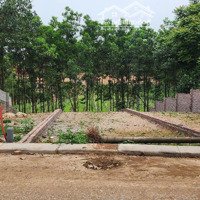 Chuyển Nhượng Lô Đất Nền Tại Khu Đồi Thị Trấn Ba Hàng Đồi Lạc Thủy Hòa Bình