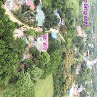 Chuyển Nhượng Lô Đất Nền Tại Khu Đồi Thị Trấn Ba Hàng Đồi Lạc Thủy Hòa Bình