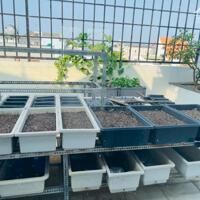 Biệt Thự 200m xây 4 lầu đường số 27 khu bên sông hiệp bình chánh Thủ Đức, Bán Gấp