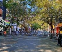 Siêu Phẩm Mặt Bằng Kinh Doanh Phố Tô Hiệu - Cầu Giấy, 150M2X3 Tầng,Mặt Tiền7M, Nhiều Nhà Hàng, Đông Đúc