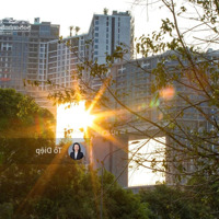 Bán Cc 2 Phòng Ngủ 2 Vệ Sinhtại Ecopark, 3,6 Tỷ, 65M2, Hàng Hiếm Tại Khu Sky Forest