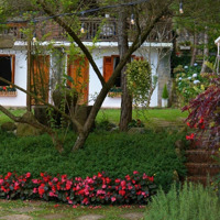 Cho Thuê Villa Sân Vườn 1700M2 - Ngô Tất Tố, P8, Đà Lạt - 12 Phòng - 30 Triệu
