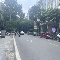 Gấp Gấp Gấp - Mặt Phố Tuệ Tĩnh - Ngay Sát Ngã Tư Phố Huế. Gpxd 8 Tầng + 1 Hầm !