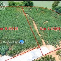 Bán 2100M2 Giá 4,Xtr/M2 Đất Bám Hồ Tại Minh Quang Ba Vì , Hà Nội