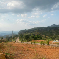Chính Chủ Bán Gấp 5 Lô Đất View Đẹp Hiếm Có Tại Khu Phố Xoan, Tt. Đinh Văn Chỉ Từ 1.5 Tỷ/Lô 500M