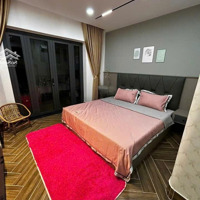 Siêu Dòng Tiền! Bán Tòa Chdv Đường Âu Cơ Tân Phú -Diện Tích8X30M Hđt 2 Tỷ/Năm - Hầm 6 Tầng Giá Bán 27 Tỷ