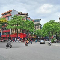 Cho Thuê Nhà Mặt Phố Trần Đại Nghĩa, Mặt Tiền 12M, Diện Tích 190M2, 2 Tầng