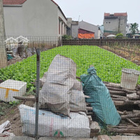 Bán Đất Chính Chủ Tại Thường Tín, Hà Nội