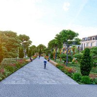 Gấp ! Chính Chủ Bán Liền Kề Centreville Lương Sơn Lô Vip Giá Đầu Tư Siêu Ngon