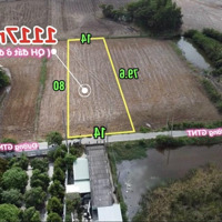1117M2 (14X80) Qh Đất Ở Đô Thị Đường 4M Cách Ql50 500M