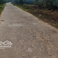 Bán Đất Tại Đinh Trang Hoà, Di Linh, Lâm Đồng, 6 Tỷ Vnd, 4000 M2