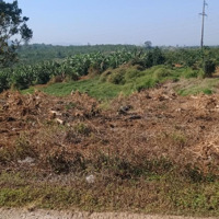 Bán Đất Tại Đinh Trang Hoà, Di Linh, Lâm Đồng, 6 Tỷ Vnd, 4000 M2