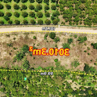 Đất Đẹp 3010M² Tiếp Giáp Mặt Đường Hơn 100M, Phù Hợp Làm Phân Lô, Gần Đường Ql55