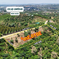 Đất Đẹp 3010M² Tiếp Giáp Mặt Đường Hơn 100M, Phù Hợp Làm Phân Lô, Gần Đường Ql55