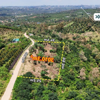 Đất Đẹp 3010M² Tiếp Giáp Mặt Đường Hơn 100M, Phù Hợp Làm Phân Lô, Gần Đường Ql55