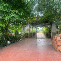 Bán Rẻ Nhà Vườn 6450M2 Xã Tân Nhựt Bình Chánh