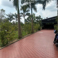 Bán Rẻ Nhà Vườn 6450M2 Xã Tân Nhựt Bình Chánh