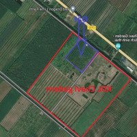 Chính Chủ Cần Bán 1000M2 Đất Vườn Giáp Kdl Chavi Garden Qln2 Thạnh Lợi, Bến Lức, Long An