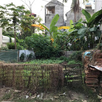 Bán Đất Tiền Phong, Mê Linh, Diện Tích 74M2, Oto Tránh, Giá 59 Triệu/M2