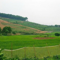 Chuyển Nhượng 578M Đất Tại Lương Sơn Hoà Bình
