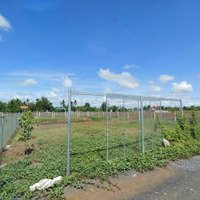 Đất Vườn Thị Trấn Cần Giuộc, Diện Tích 500M2 Đường Xe Hơi Giá Tốt, Gần Sông Mát Mẻ, Shr