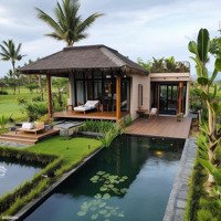 Đất Vườn Thị Trấn Cần Giuộc, Diện Tích 500M2 Đường Xe Hơi Giá Tốt, Gần Sông Mát Mẻ, Shr