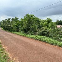 Bán Đất Tại Lộc An, Lộc Ninh, Bình Phước, 350 Triệu, 300M2