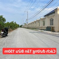 Cách Nhựa Chỉ 150M - Ra Uỷ Ban, Chợ Tân Bửu 1,5Km - Đất Sổ Riêng (Có Lối Đi), Ko Quy Hoạch