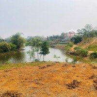 Bán Đất Tại Minh Quang, Ba Vì, Hà Nội, Giá Thỏa Thuận, Diện Tích 2143M2