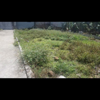 Món Đầu Tư Đáng Giá, Mua Được Là Thành Công