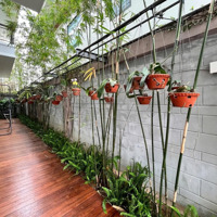 Cho Thuê Bt 4 Phòng Ngủ5Vs Tại Bùi Tá Hán, Giá Thỏa Thuận, 210M2, Q.ngũ Hành Sơn, Đn Hàng Hot Uy Tín