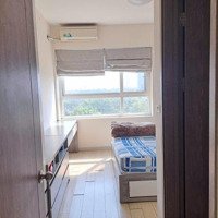 Chính Chủ Bán Gấp Chung Cư 3 Phòng Ngủ92M2 Tại Rừng Cọ Cạnh Liên Cấp Greenfield